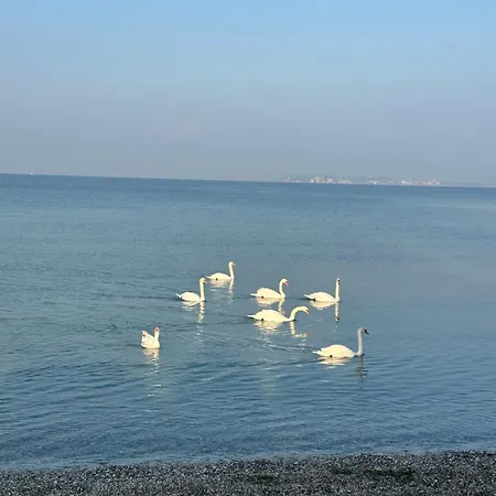 Casa Sul Garda * Ντεζεντσάνο ντελ Γκάρντα